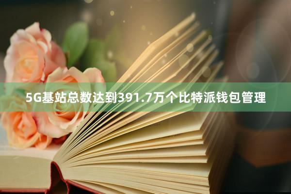 5G基站总数达到391.7万个比特派钱包管理