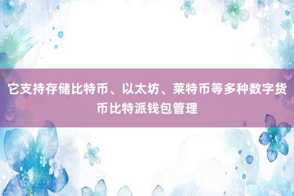 它支持存储比特币、以太坊、莱特币等多种数字货币比特派钱包管理