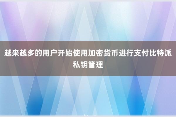 越来越多的用户开始使用加密货币进行支付比特派私钥管理