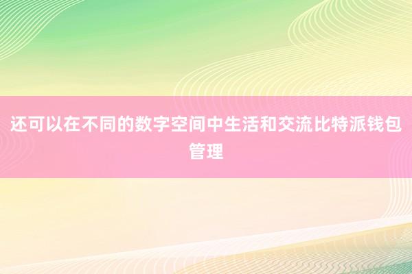 还可以在不同的数字空间中生活和交流比特派钱包管理