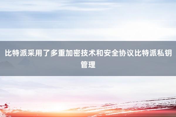 比特派采用了多重加密技术和安全协议比特派私钥管理