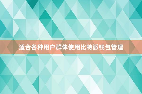 适合各种用户群体使用比特派钱包管理