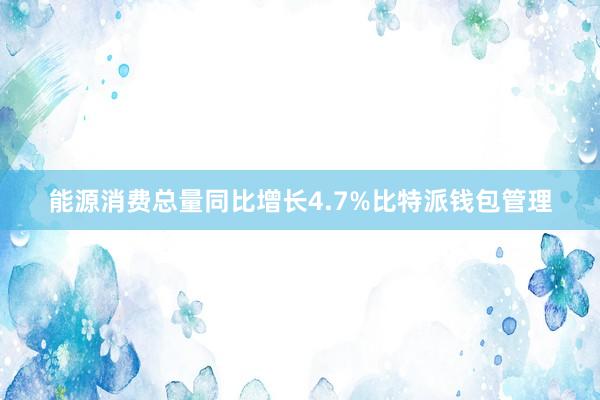 能源消费总量同比增长4.7%比特派钱包管理