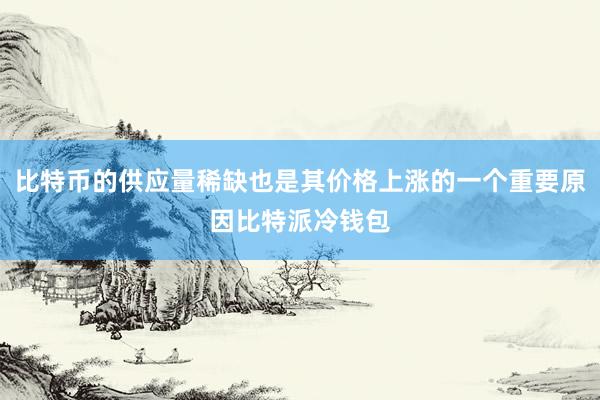 比特币的供应量稀缺也是其价格上涨的一个重要原因比特派冷钱包