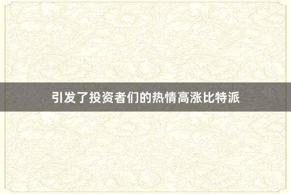 引发了投资者们的热情高涨比特派