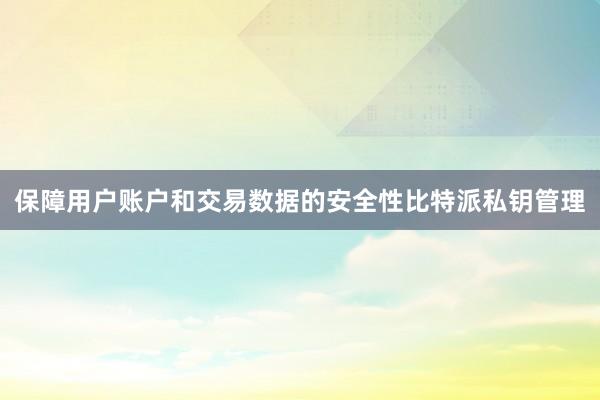 保障用户账户和交易数据的安全性比特派私钥管理