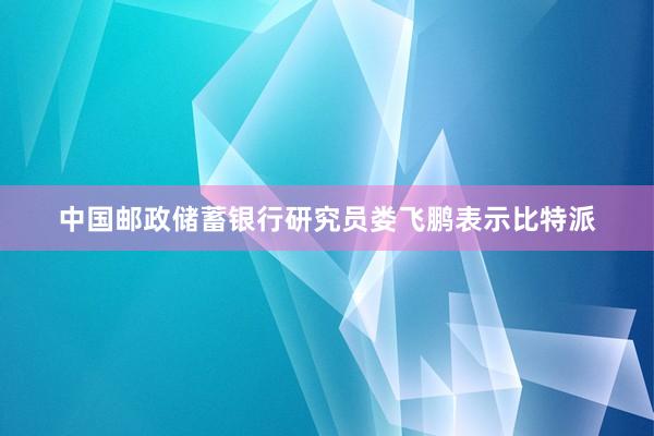 中国邮政储蓄银行研究员娄飞鹏表示比特派