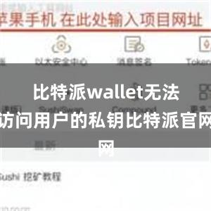 比特派wallet无法访问用户的私钥比特派官网