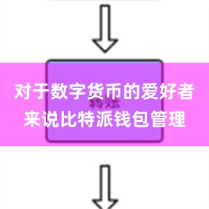 对于数字货币的爱好者来说比特派钱包管理