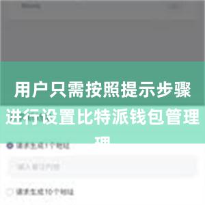 用户只需按照提示步骤进行设置比特派钱包管理