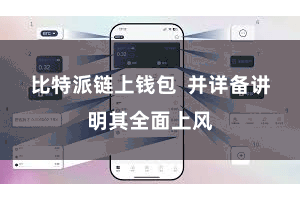 比特派链上钱包 并详备讲明其全面上风