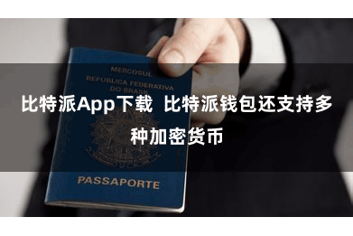比特派App下载 比特派钱包还支持多种加密货币